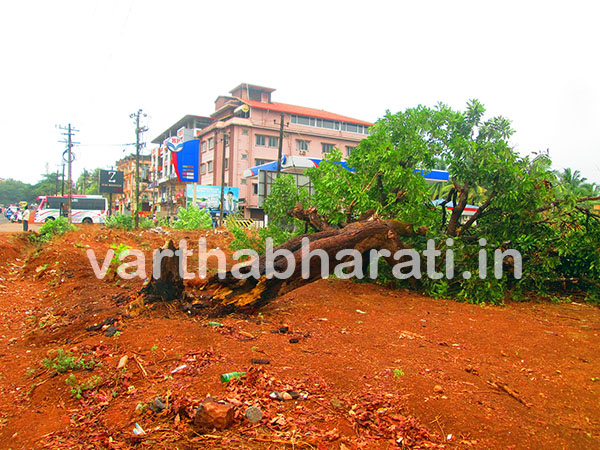 ಕುಂದಾಪುರ: ಗಾಳಿ, ಸಿಡಿಲಿನ ಆರ್ಭಟಕ್ಕೆ ಲಕ್ಷಾಂತರ ರೂ. ಹಾನಿ
